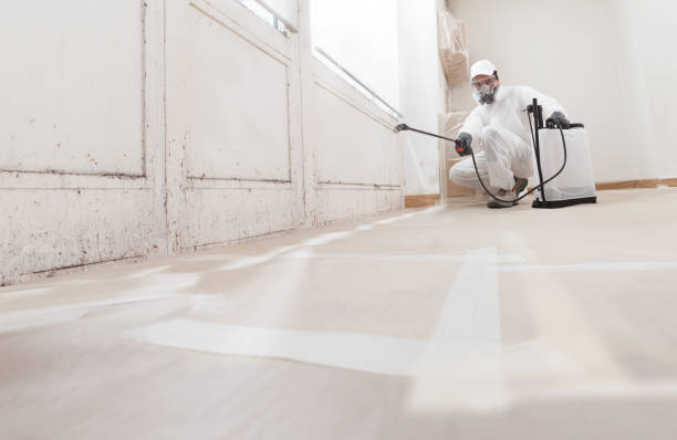 24/7 Emergency Basement Mold Remediation experts in Greenville, GA