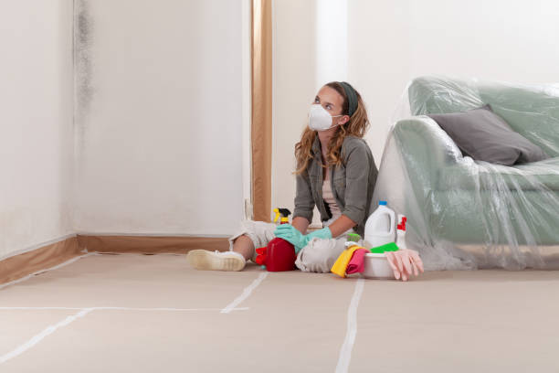 Reliable Basement Mold Remediation contractor in Greenville, GA by Mold Remediation HQ